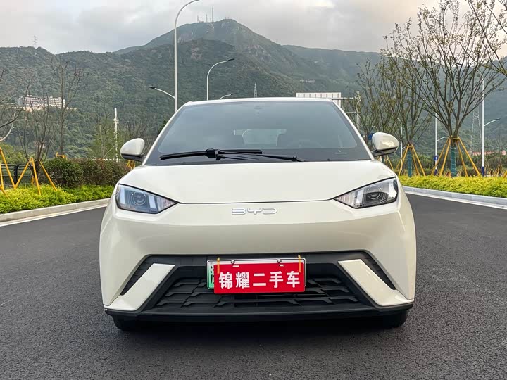 Фото 4 - BYD Seagull