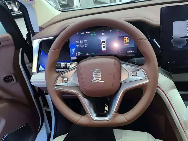 Фото 11 - BYD Xia