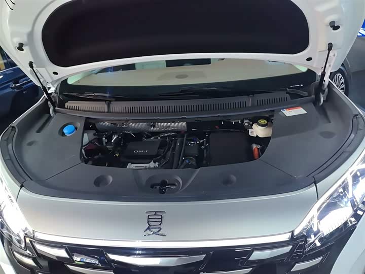 Фото 20 - BYD Xia