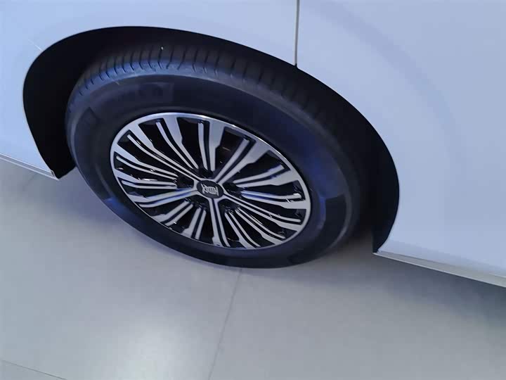 Фото 26 - BYD Xia