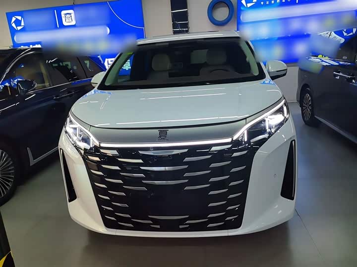 Фото 3 - BYD Xia