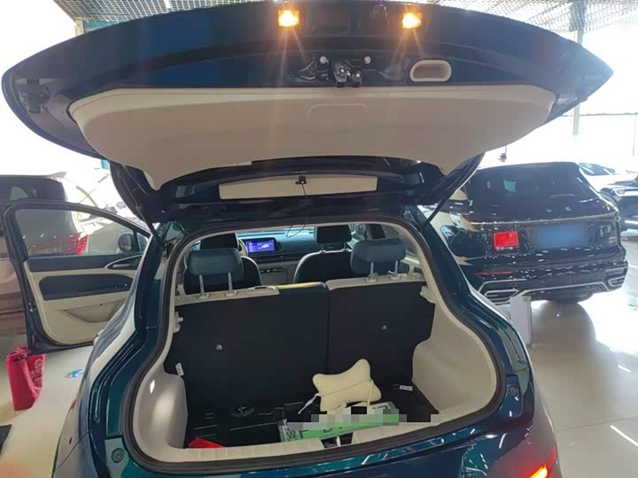 Фото 19 - Ora Good Cat (03)