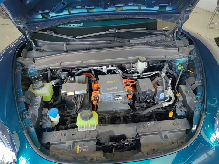 Фото 20 - Ora Good Cat (03)