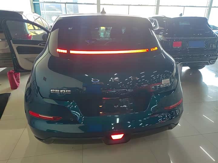 Фото 6 - Ora Good Cat (03)