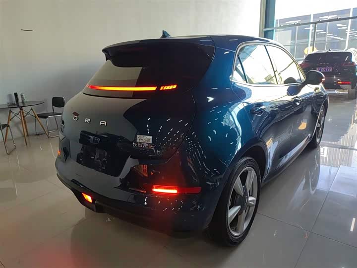 Фото 7 - Ora Good Cat (03)