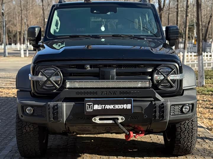 Фото 1 - Tank 300