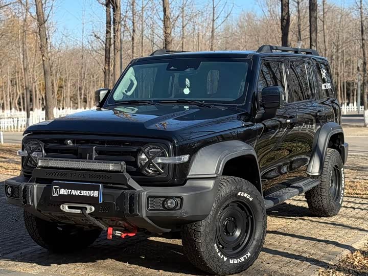 Фото 2 - Tank 300