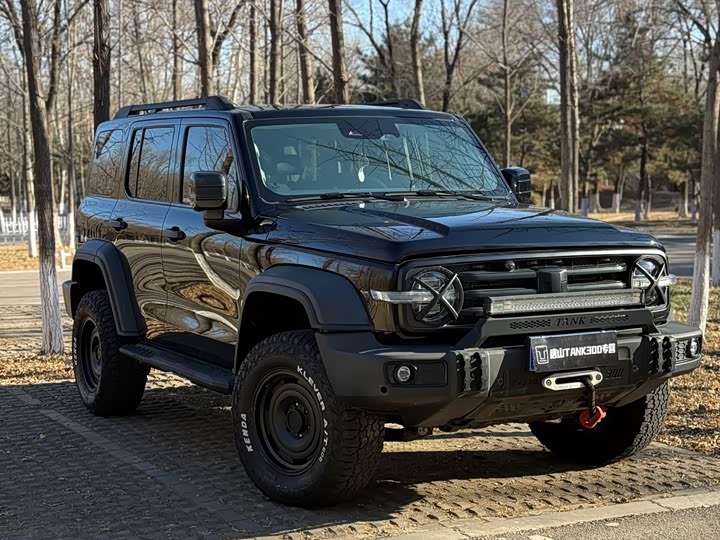 Фото 3 - Tank 300