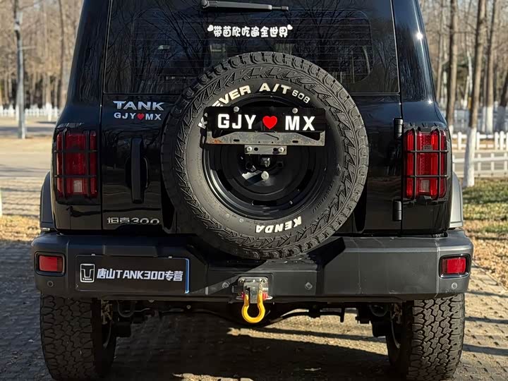 Фото 7 - Tank 300