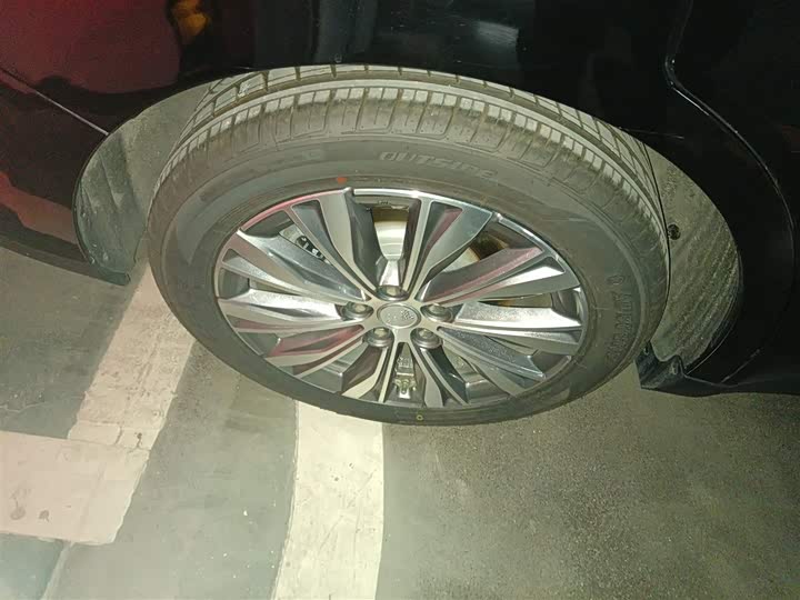 Фото 26 - Hongqi E-QM5