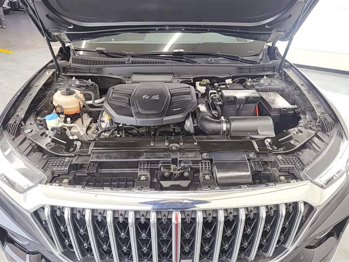 Фото 10 - Hongqi HS5