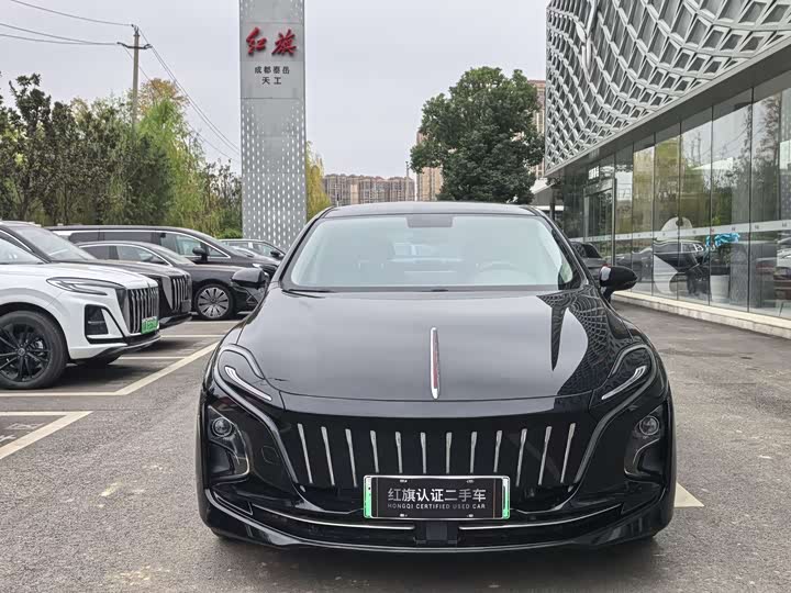 Фото 2 - Hongqi E-QM5