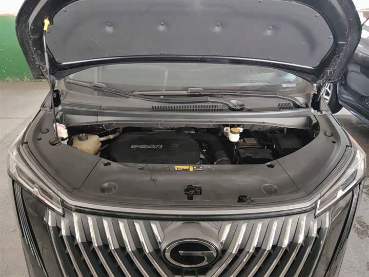 Фото 20 - GAC Trumpchi M8