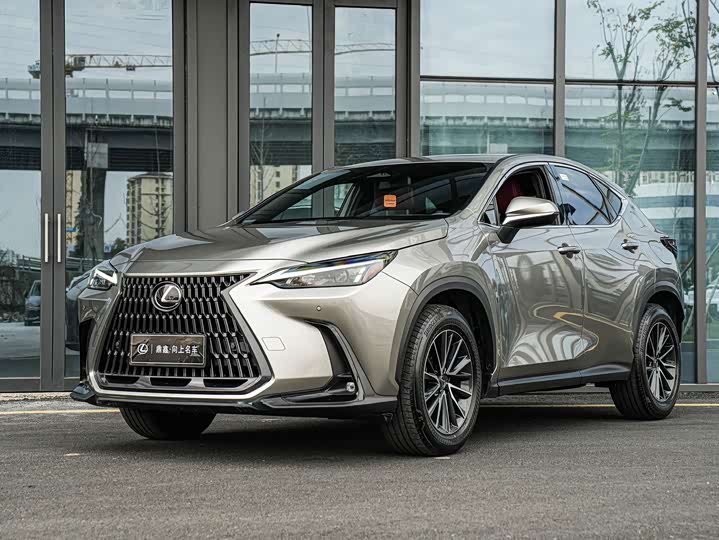 Фото 1 - Lexus NX