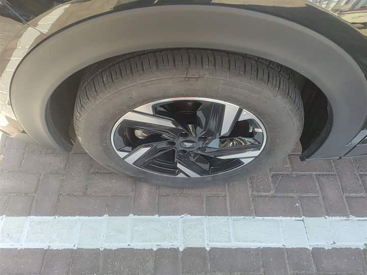 Фото 23 - Hozon X