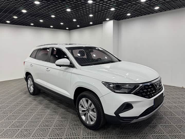 Фото 1 - Jetta VS7