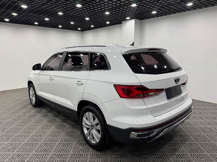 Фото 9 - Jetta VS7