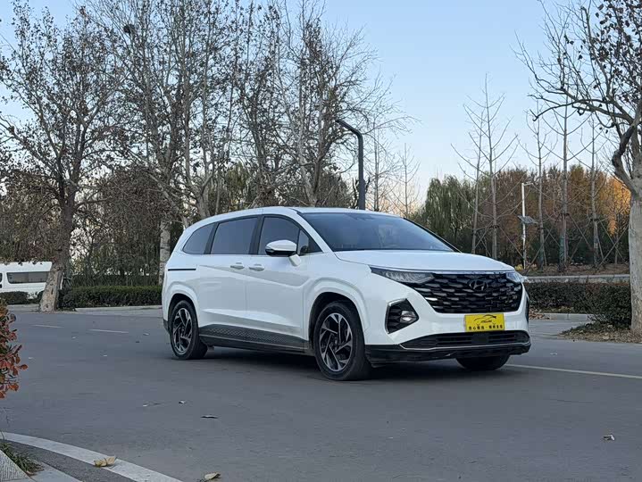 Фото 3 - Hyundai Custo