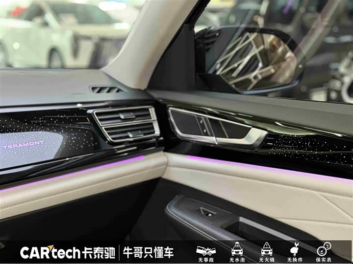 Фото 21 - Volkswagen Teramont Pro