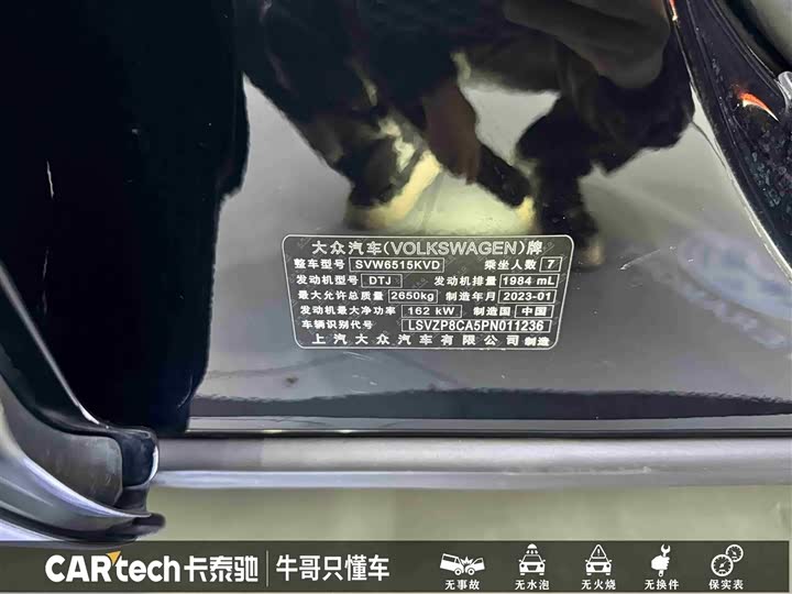 Фото 28 - Volkswagen Teramont Pro