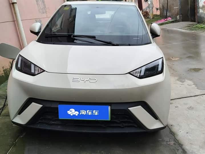 Фото 2 - BYD Seagull