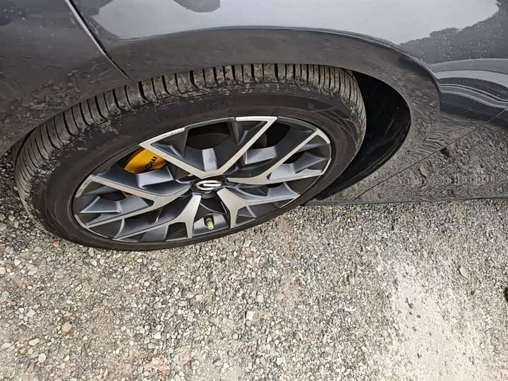 Фото 22 - GAC Trumpchi Empow R