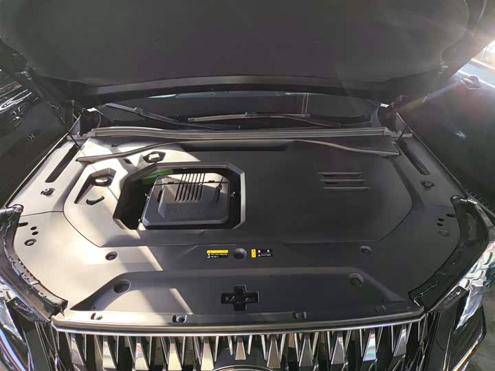 Фото 20 - GAC Trumpchi ES9