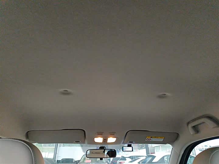 Фото 18 - Ora White Cat