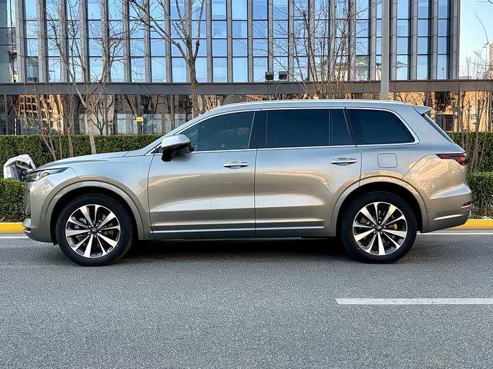 Фото 3 - LiXiang One