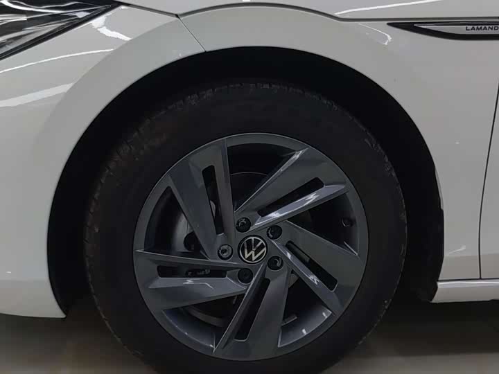 Фото 12 - Volkswagen Lamando L