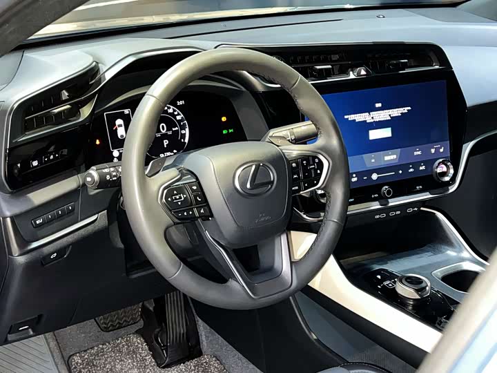 Фото 10 - Lexus RZ