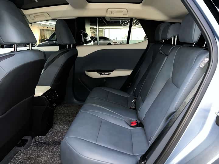 Фото 12 - Lexus RZ