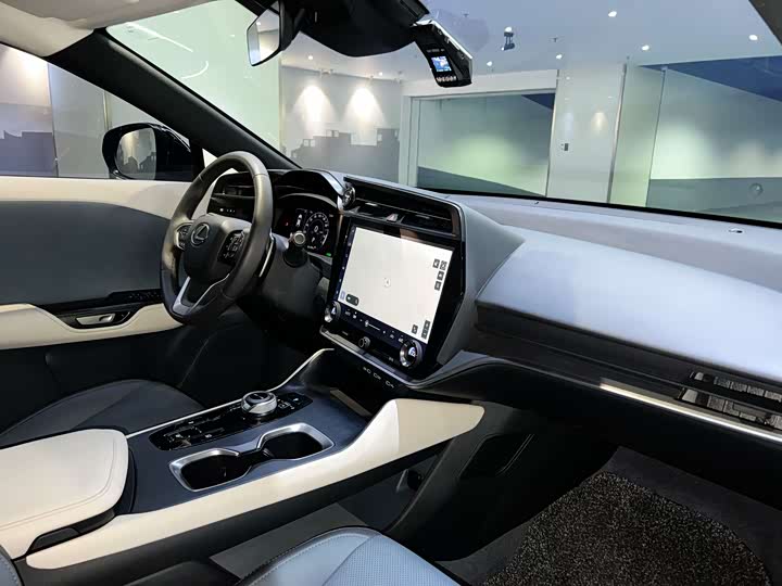 Фото 13 - Lexus RZ