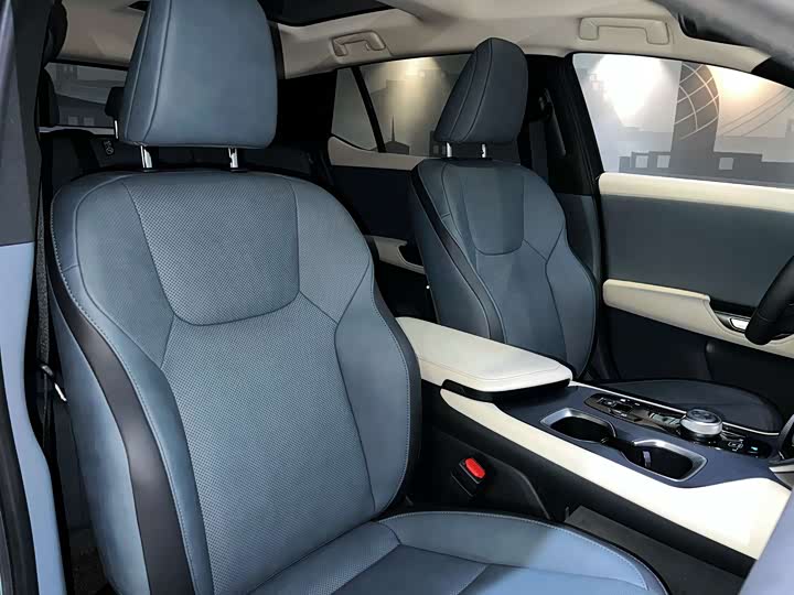 Фото 14 - Lexus RZ