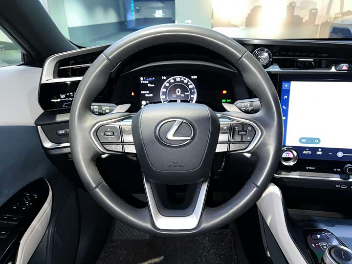 Фото 17 - Lexus RZ