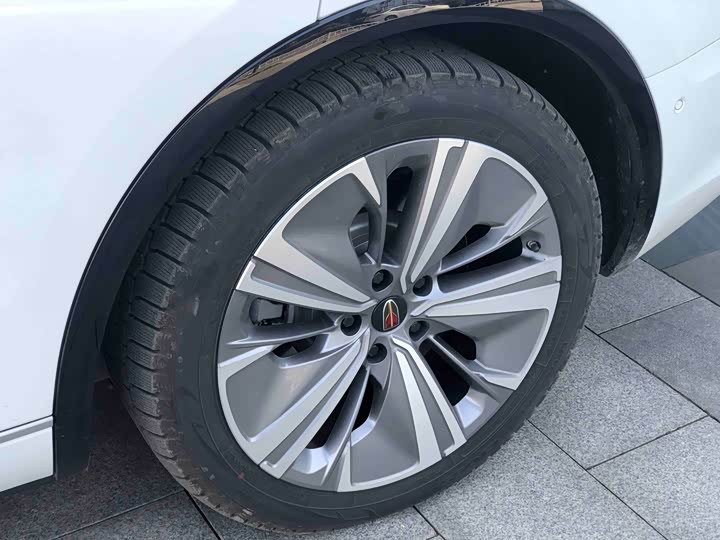 Фото 17 - Hongqi E-HS9