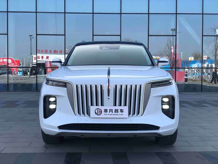 Фото 3 - Hongqi E-HS9