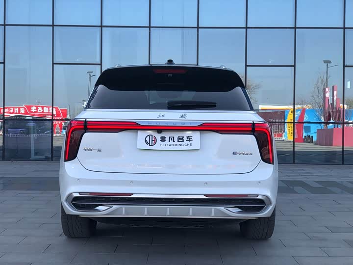 Фото 4 - Hongqi E-HS9