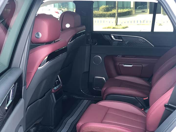 Фото 9 - Hongqi E-HS9