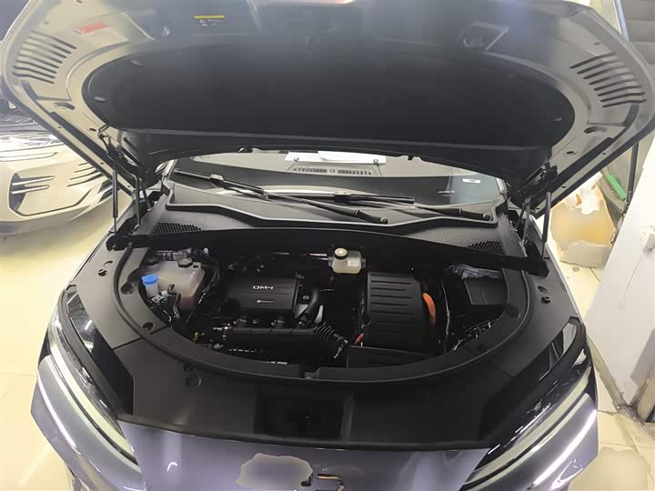 Фото 20 - BYD Song Plus Hybrid/EV