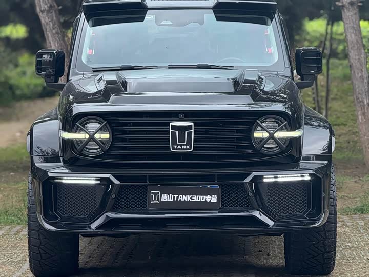 Фото 1 - Tank 300