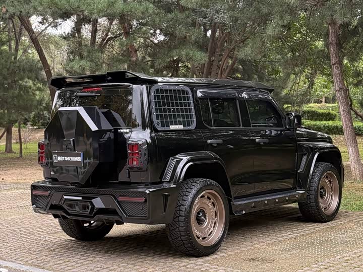 Фото 10 - Tank 300