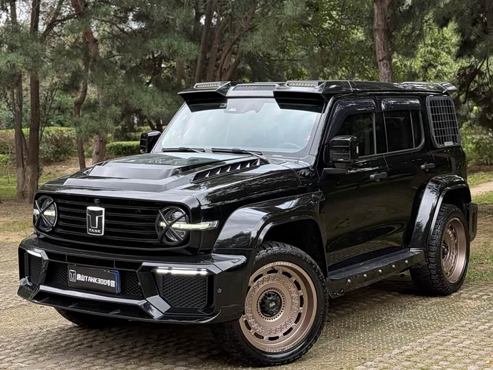 Фото 2 - Tank 300