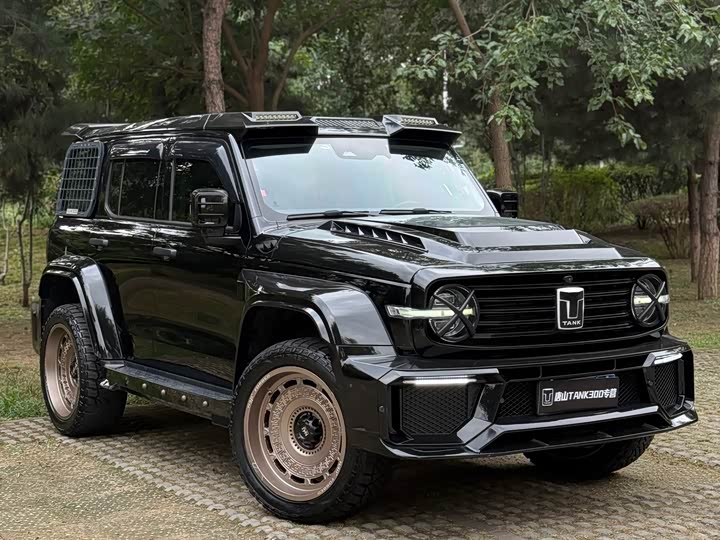 Фото 3 - Tank 300