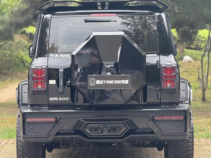 Фото 8 - Tank 300