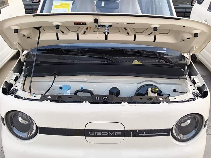 Фото 20 - Geely Galaxy Panda Mini