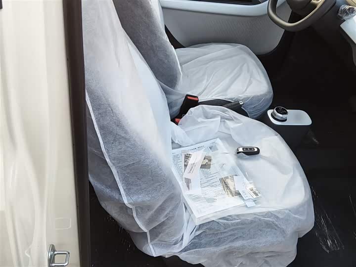 Фото 25 - Geely Galaxy Panda Mini