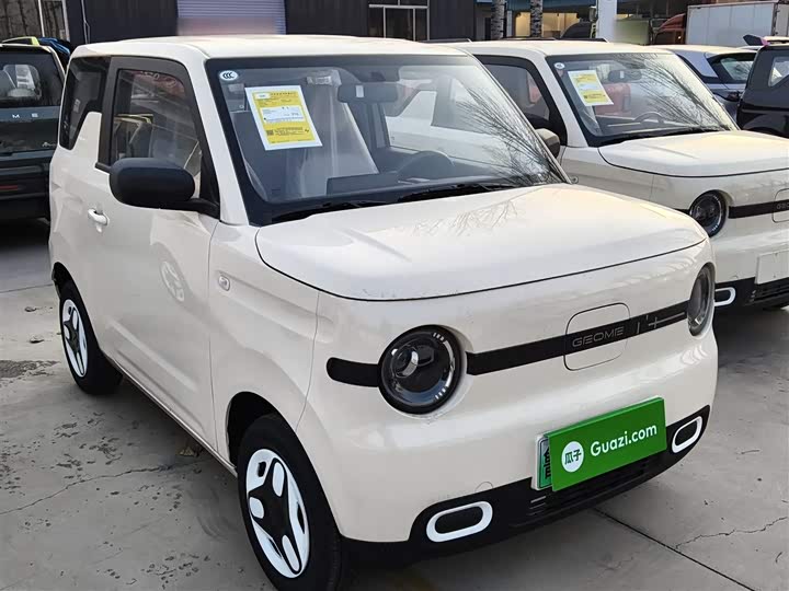 Фото 4 - Geely Galaxy Panda Mini