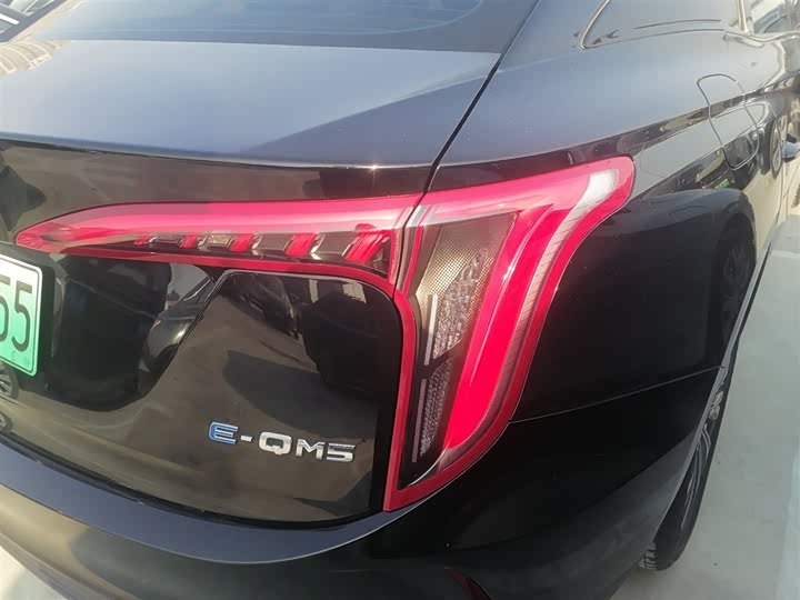 Фото 8 - Hongqi E-QM5