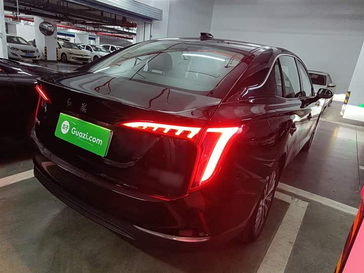 Фото 7 - Hongqi E-QM5